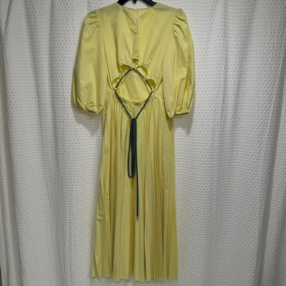 Beatrice B Pleated Yellow Dress - Picture 10 of 15